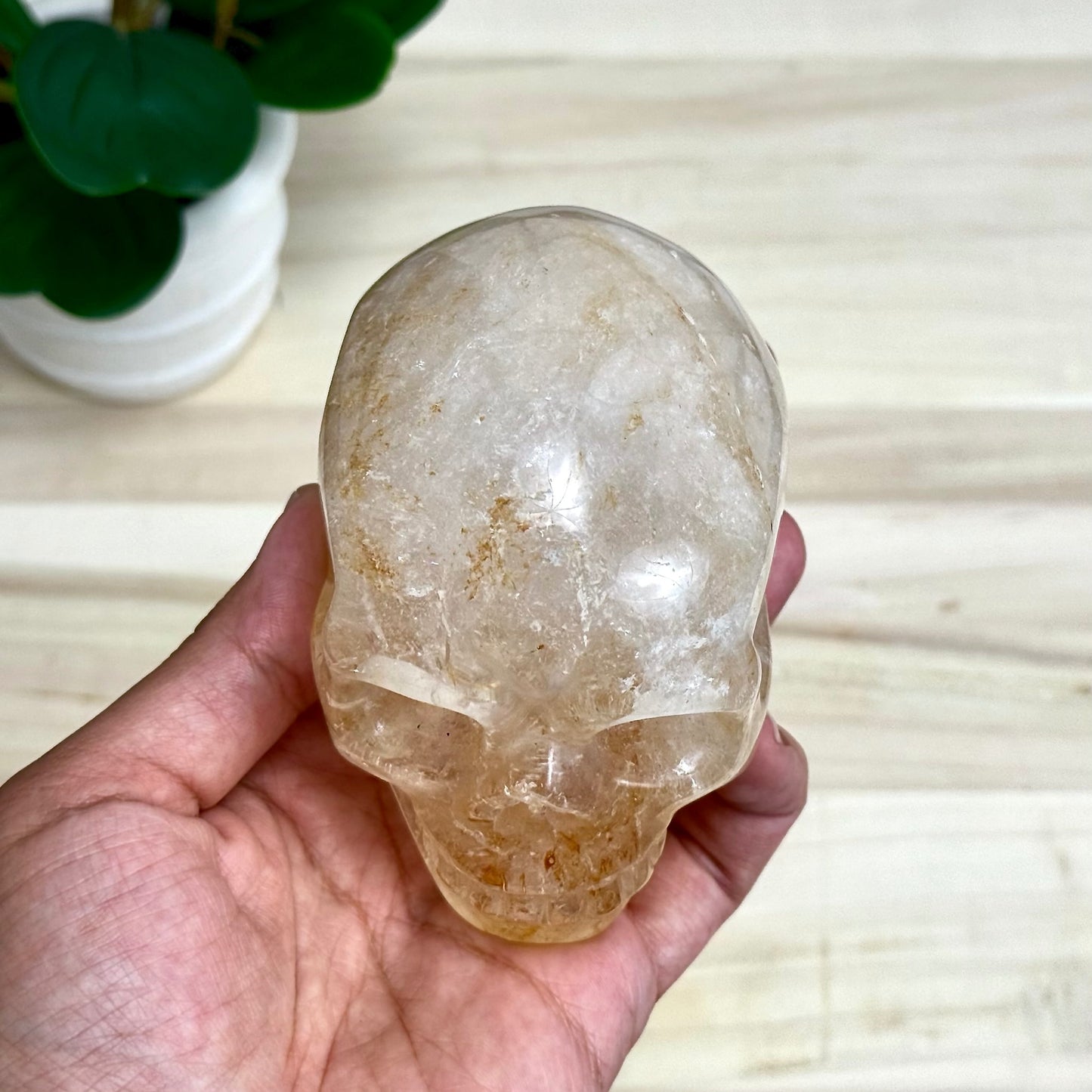 Golden Healer Skull Carving, 1 lb. 7.9 oz.