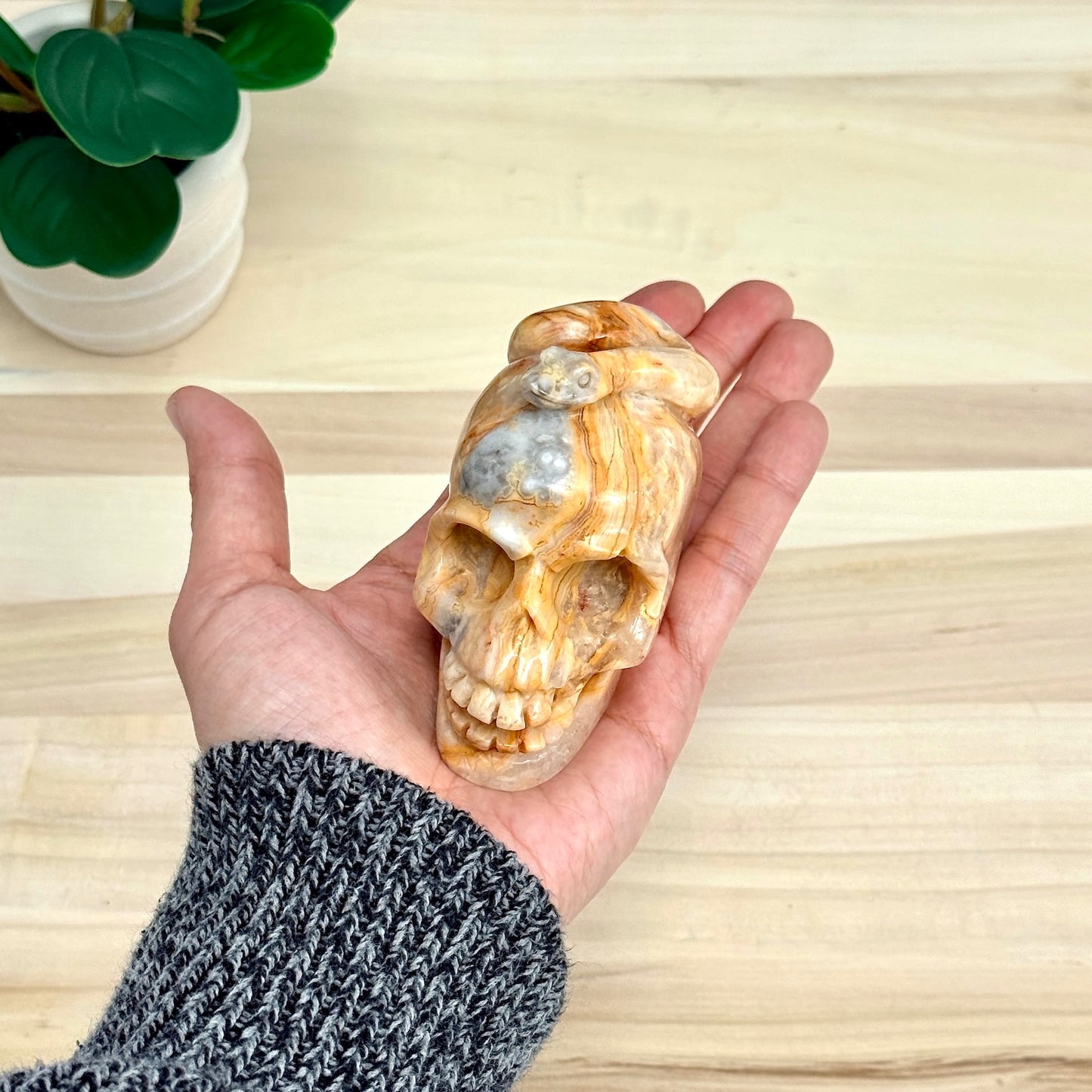 Crazy Lace Agate Skull with Snake Carving, 3.43 in. - Itsy's Crystal Cove LLC