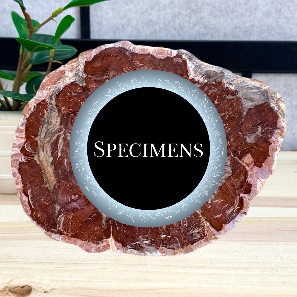 Specimens - Itsy's Crystal Cove LLC
