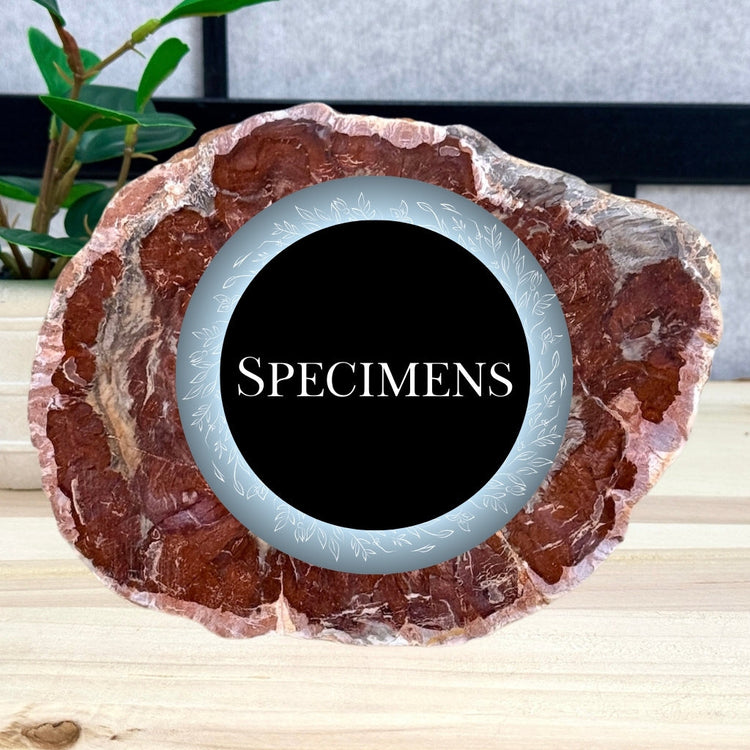 Crystal Specimens Collection, Itsy's Crystal Cove LLC