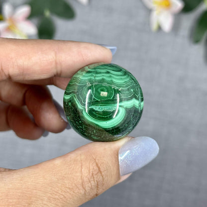 33.6mm Natural Malachite Sphere - Itsy's Crystal Cove LLC