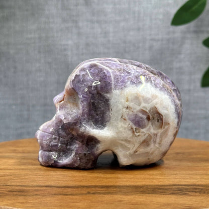 Chevron Amethyst Skull Carving C - Itsy's Crystal Cove LLC