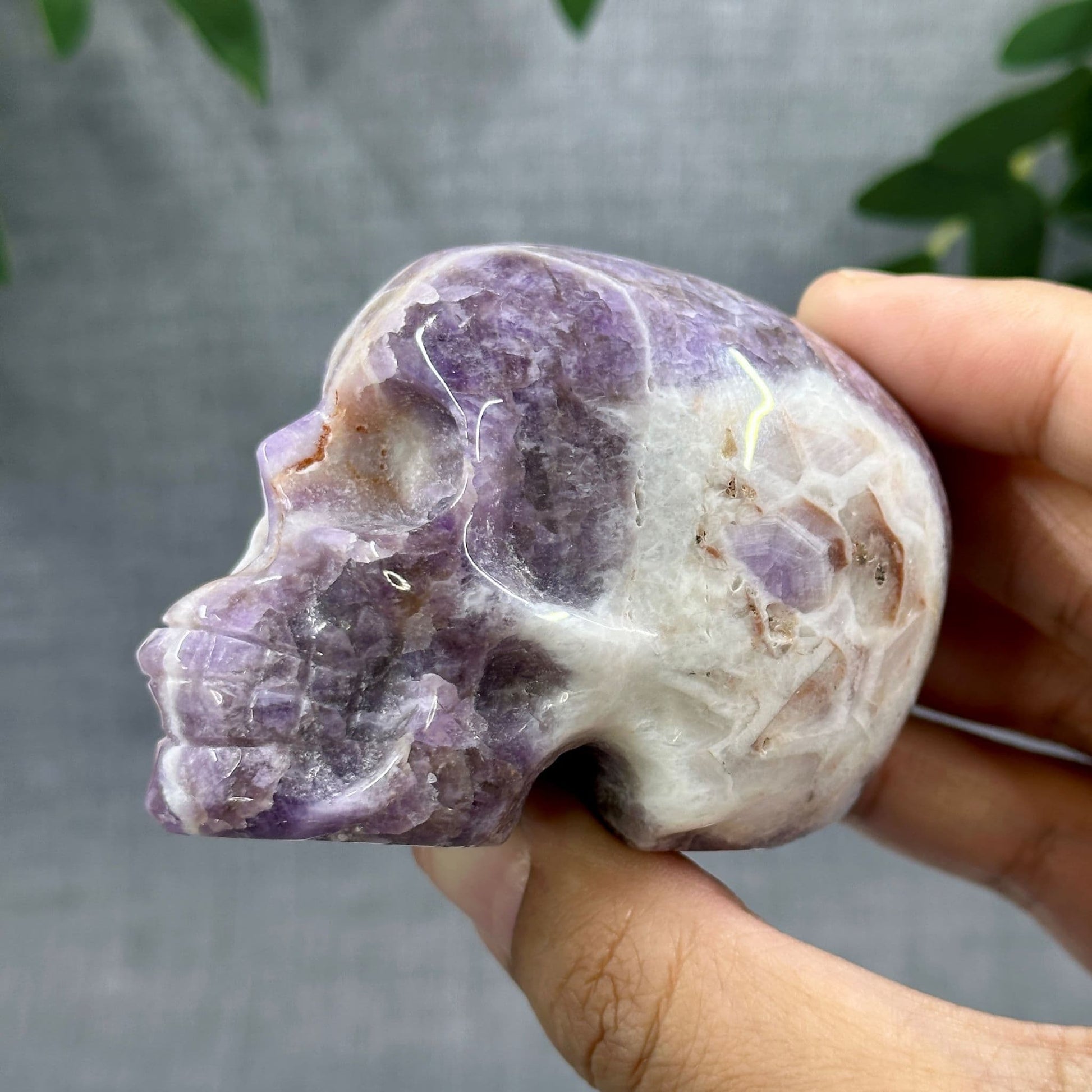 Chevron Amethyst Skull Carving C - Itsy's Crystal Cove LLC