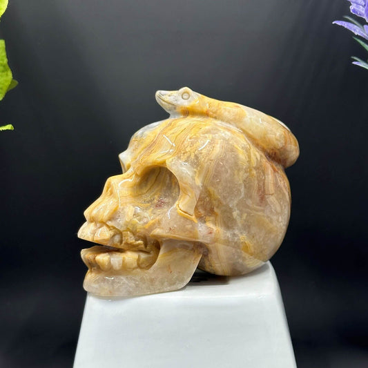 Crazy Lace Agate Snake and Skull Carving - Itsy's Crystal Cove LLC