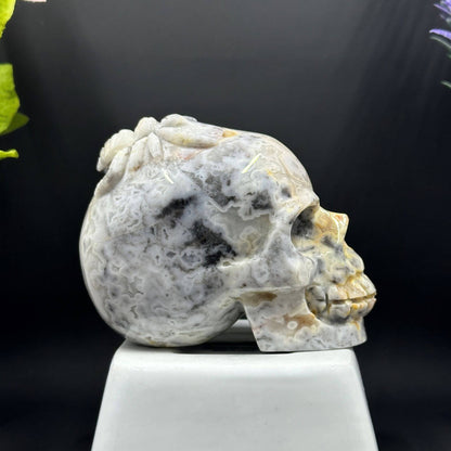 Crazy Lace Agate Skull and Spider Carving - Itsy's Crystal Cove LLC