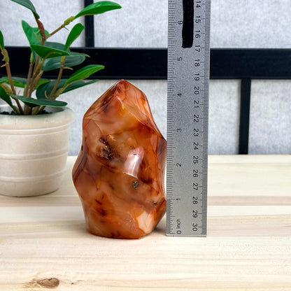 Carnelian Flame, 1 lb. 5.9 oz., Itsy's Crystal Cove LLC