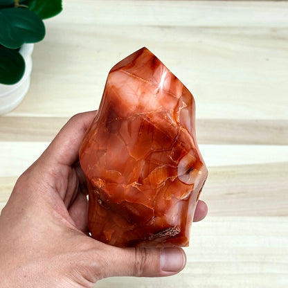 Carnelian Flame, 1 lb. 5.9 oz., Itsy's Crystal Cove LLC