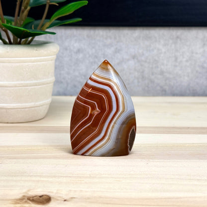 Carnelian Tear Drop C, Itsy's Crystal Cove LLC