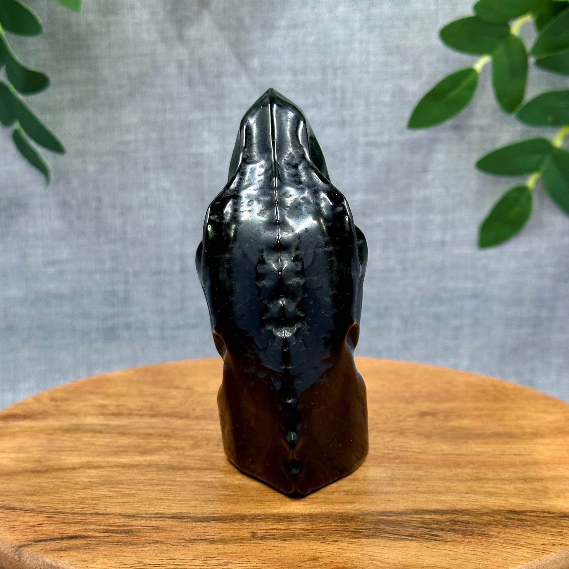 Obsidian Dinosaur Crystal Carving A - Itsy's Crystal Cove LLC