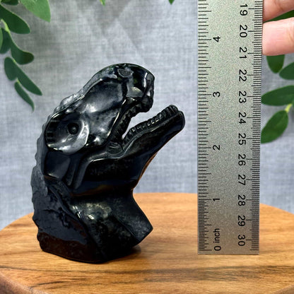 Obsidian Dinosaur Crystal Carving B - Itsy's Crystal Cove LLC