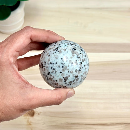 Kiwi Jasper Sphere, 2.66 in. - Itsy's Crystal Cove LLC