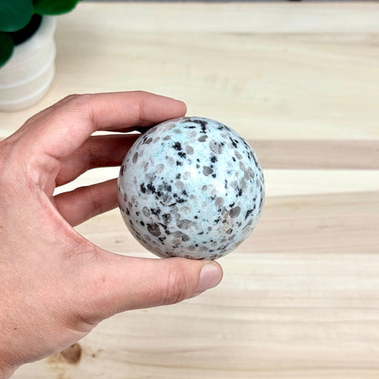 Kiwi Jasper Sphere, 2.66 in. - Itsy's Crystal Cove LLC