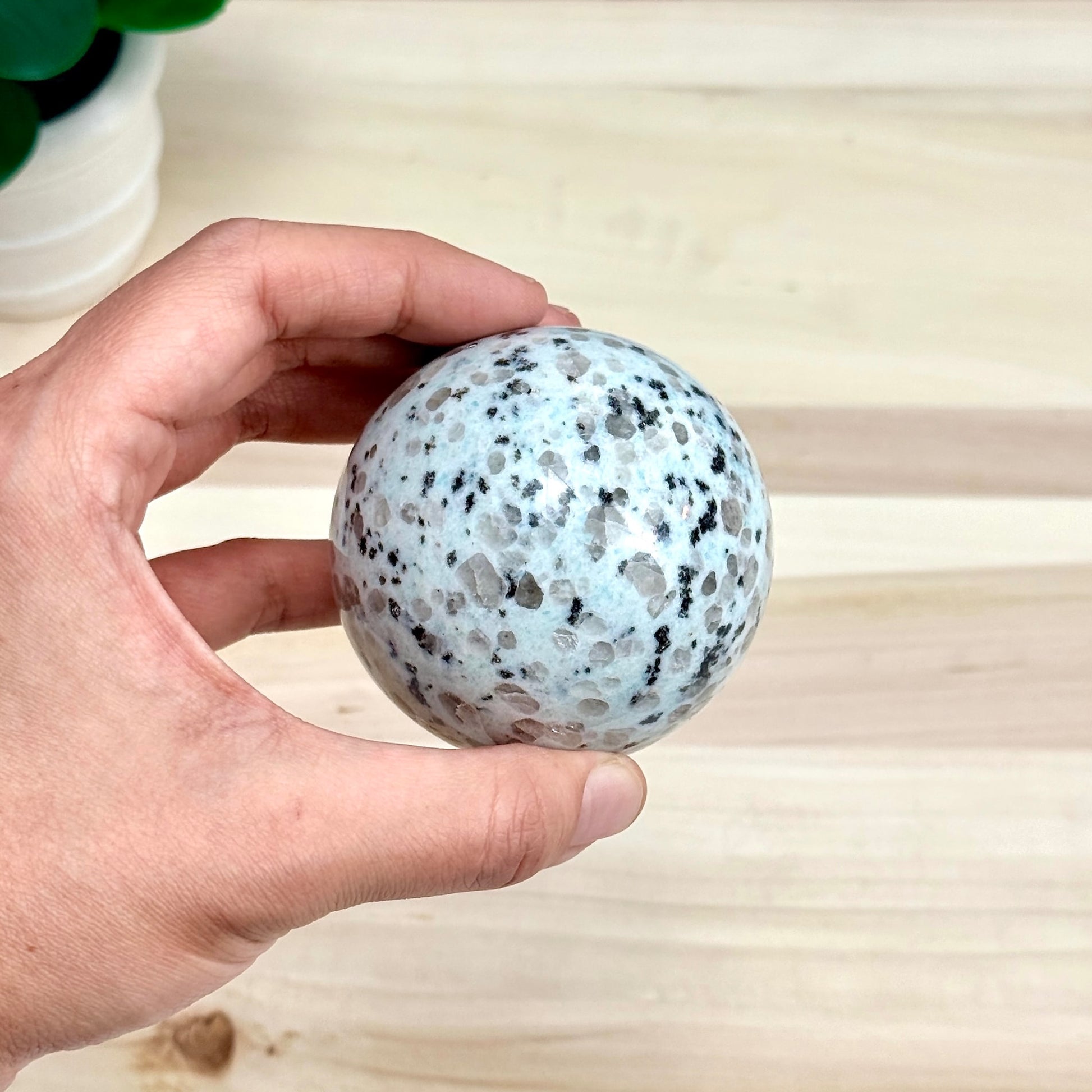 Kiwi Jasper Sphere, 2.66 in. - Itsy's Crystal Cove LLC