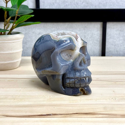 Large Drusy Agate Skull Carving, 2 lb. 9 oz.