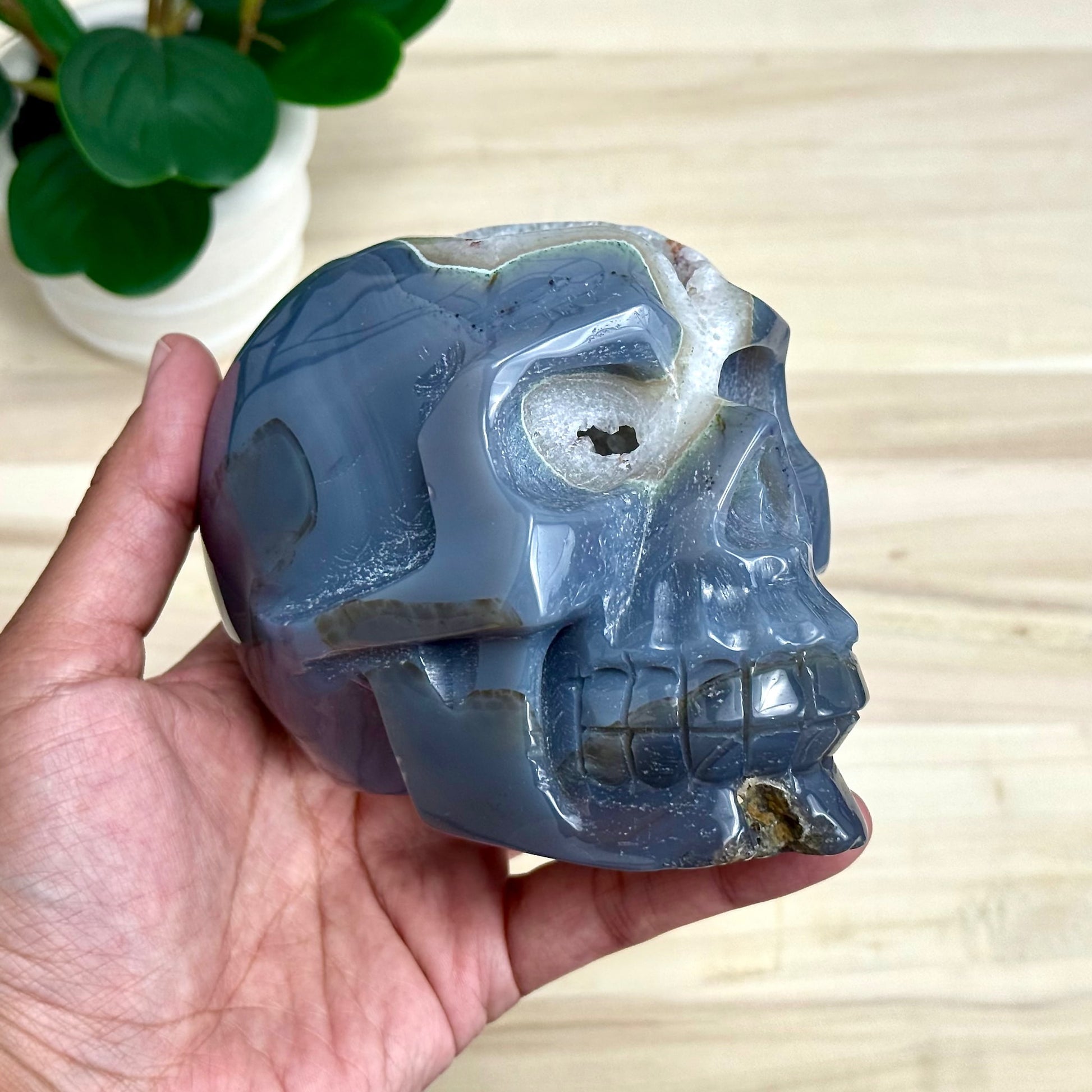 Large Drusy Agate Skull Carving, 2 lb. 9 oz.