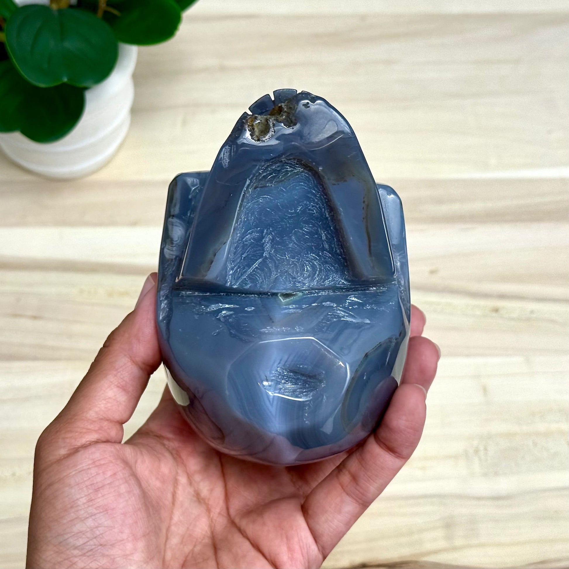 Large Drusy Agate Skull Carving, 2 lb. 9 oz.