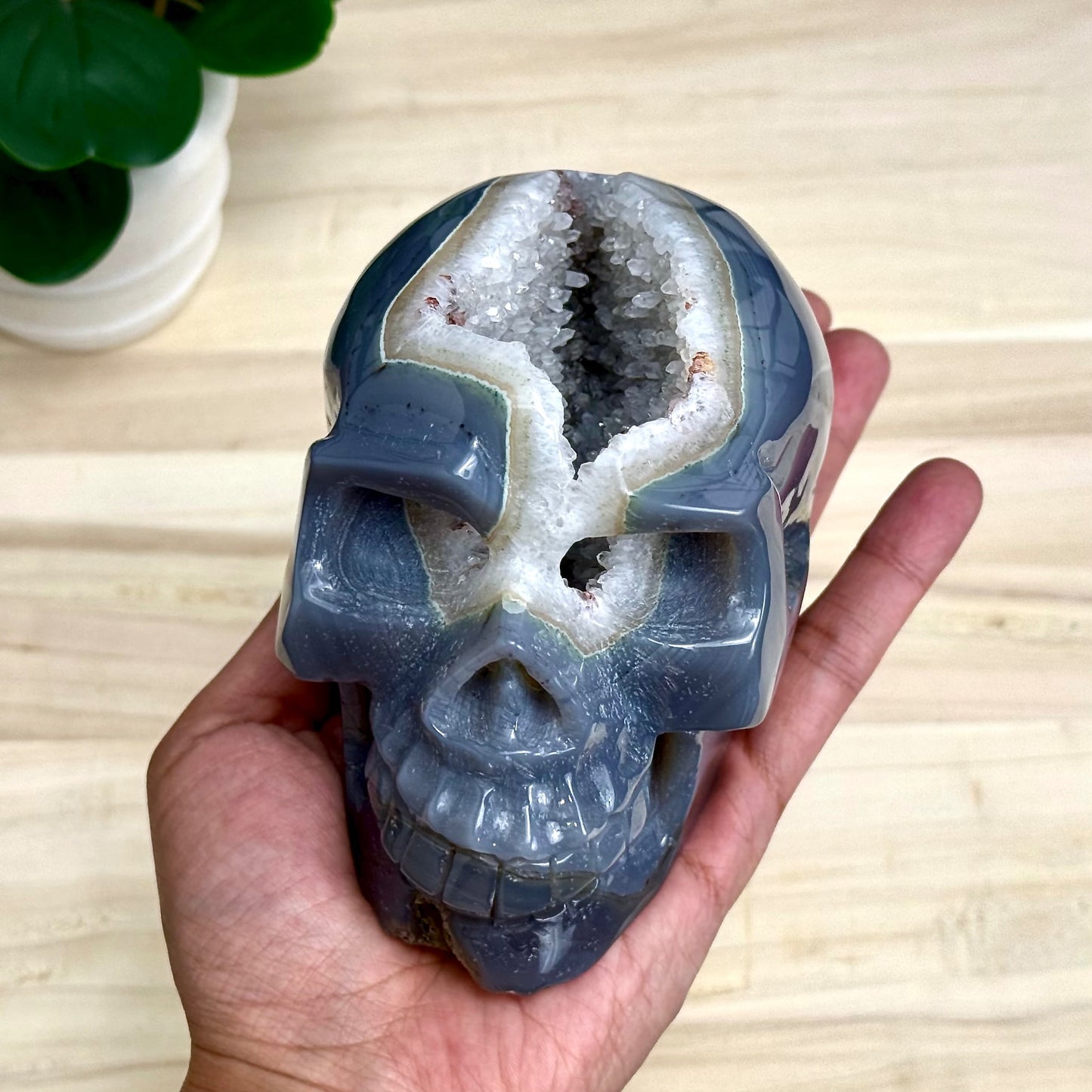 Large Drusy Agate Skull Carving, 2 lb. 9 oz.