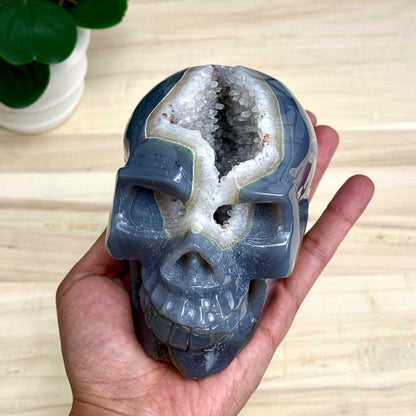 Large Drusy Agate Skull Carving, 2 lb. 9 oz.