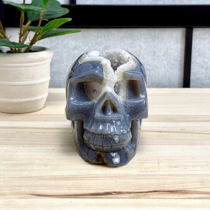Large Drusy Agate Skull Carving, 2 lb. 9 oz.