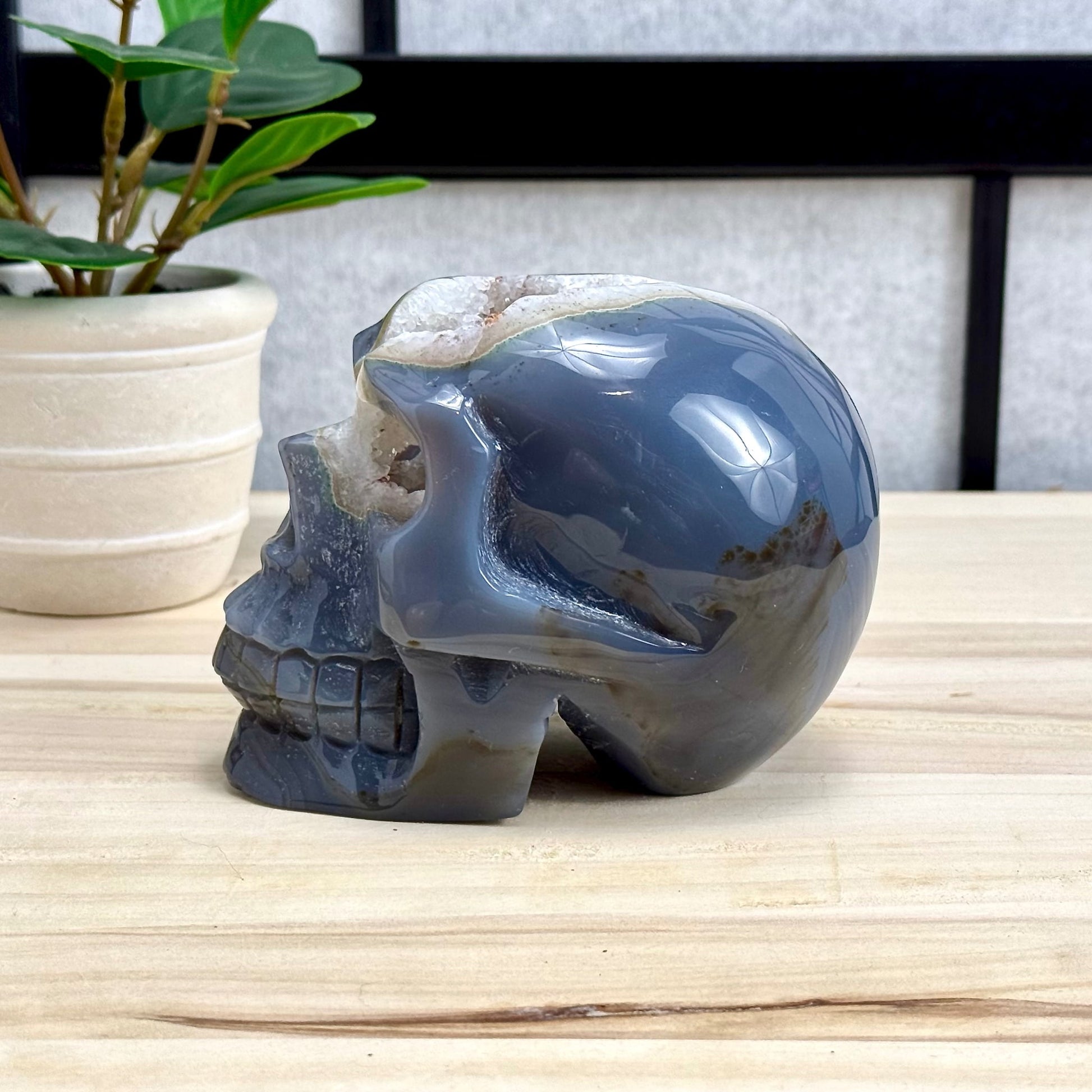 Large Drusy Agate Skull Carving, 2 lb. 9 oz.