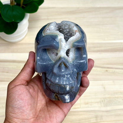 Large Drusy Agate Skull Carving, 2 lb. 9 oz.