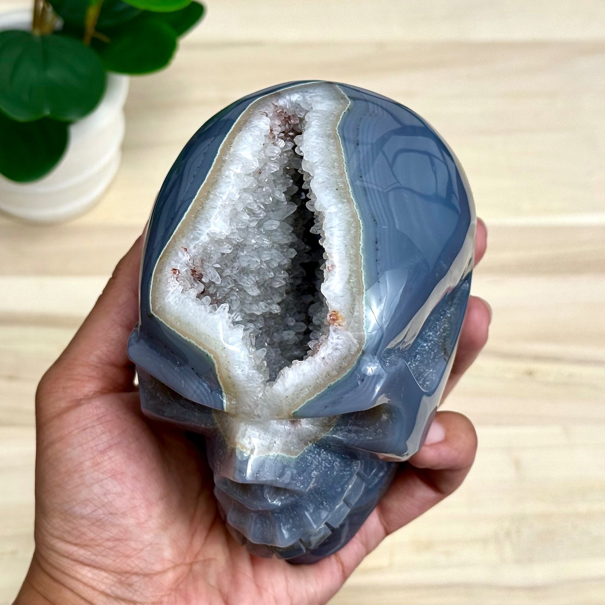 Large Drusy Agate Skull Carving, 2 lb. 9 oz.