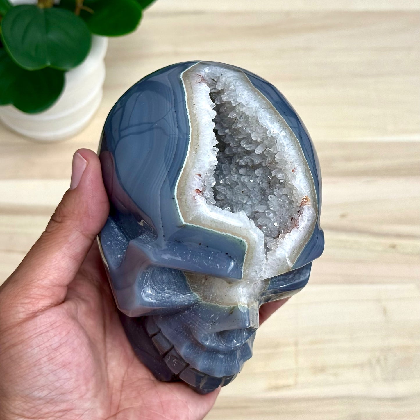 Large Drusy Agate Skull Carving, 2 lb. 9 oz.