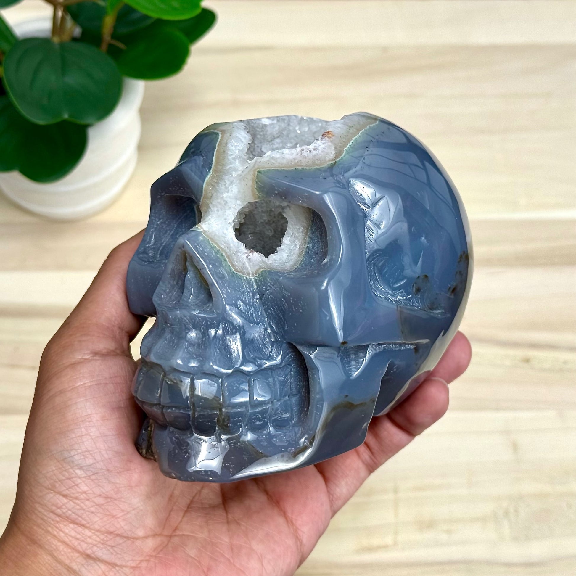Large Drusy Agate Skull Carving, 2 lb. 9 oz.