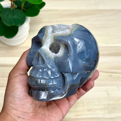 Large Drusy Agate Skull Carving, 2 lb. 9 oz.