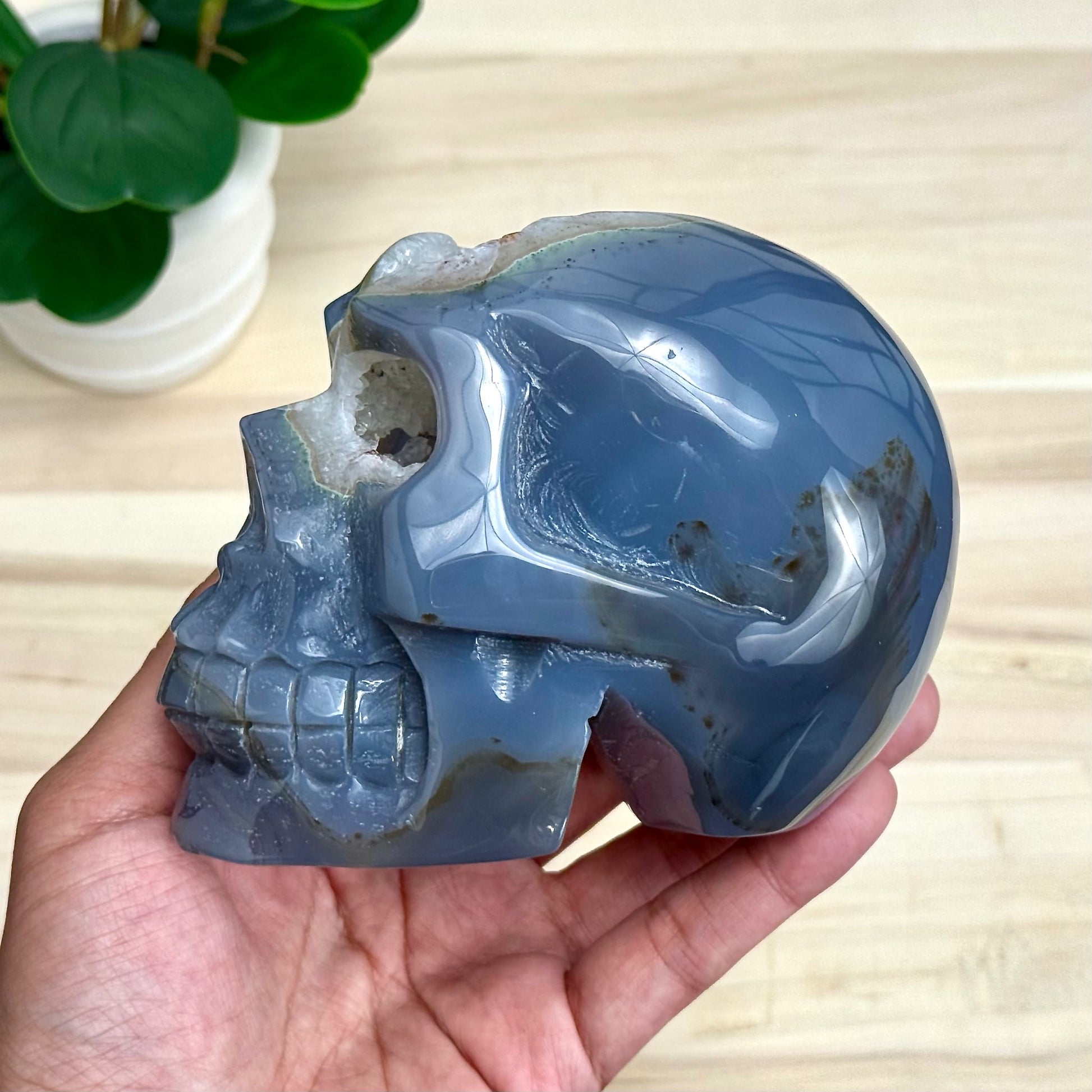 Large Drusy Agate Skull Carving, 2 lb. 9 oz.