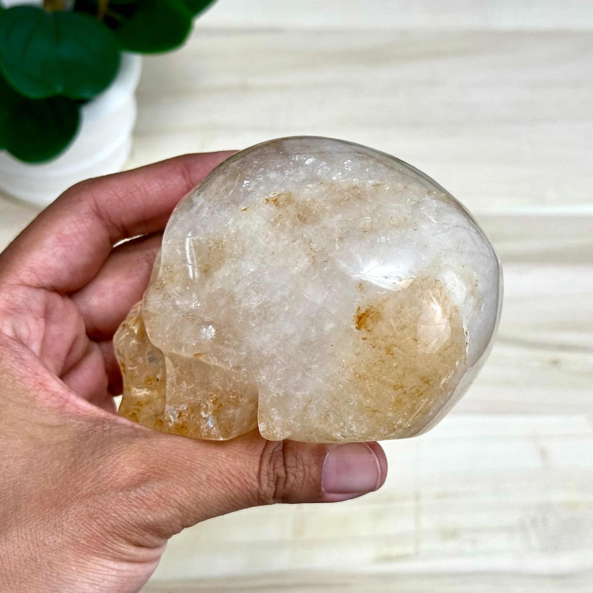 Golden Healer Skull Carving, 1 lb. 7.9 oz.