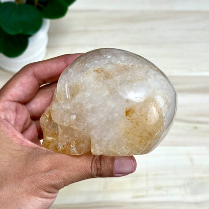 Golden Healer Skull Carving, 1 lb. 7.9 oz.