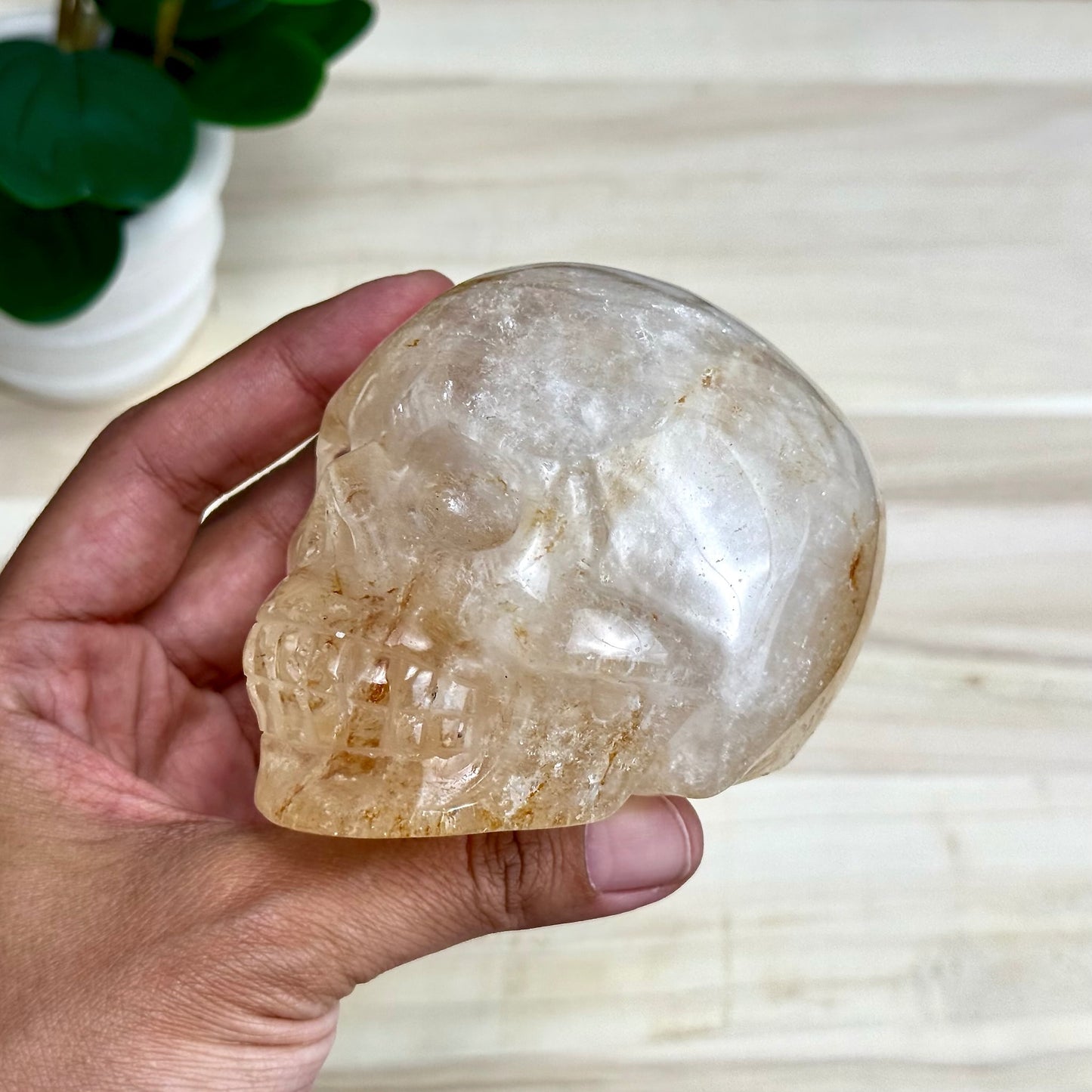 Golden Healer Skull Carving, 1 lb. 7.9 oz.
