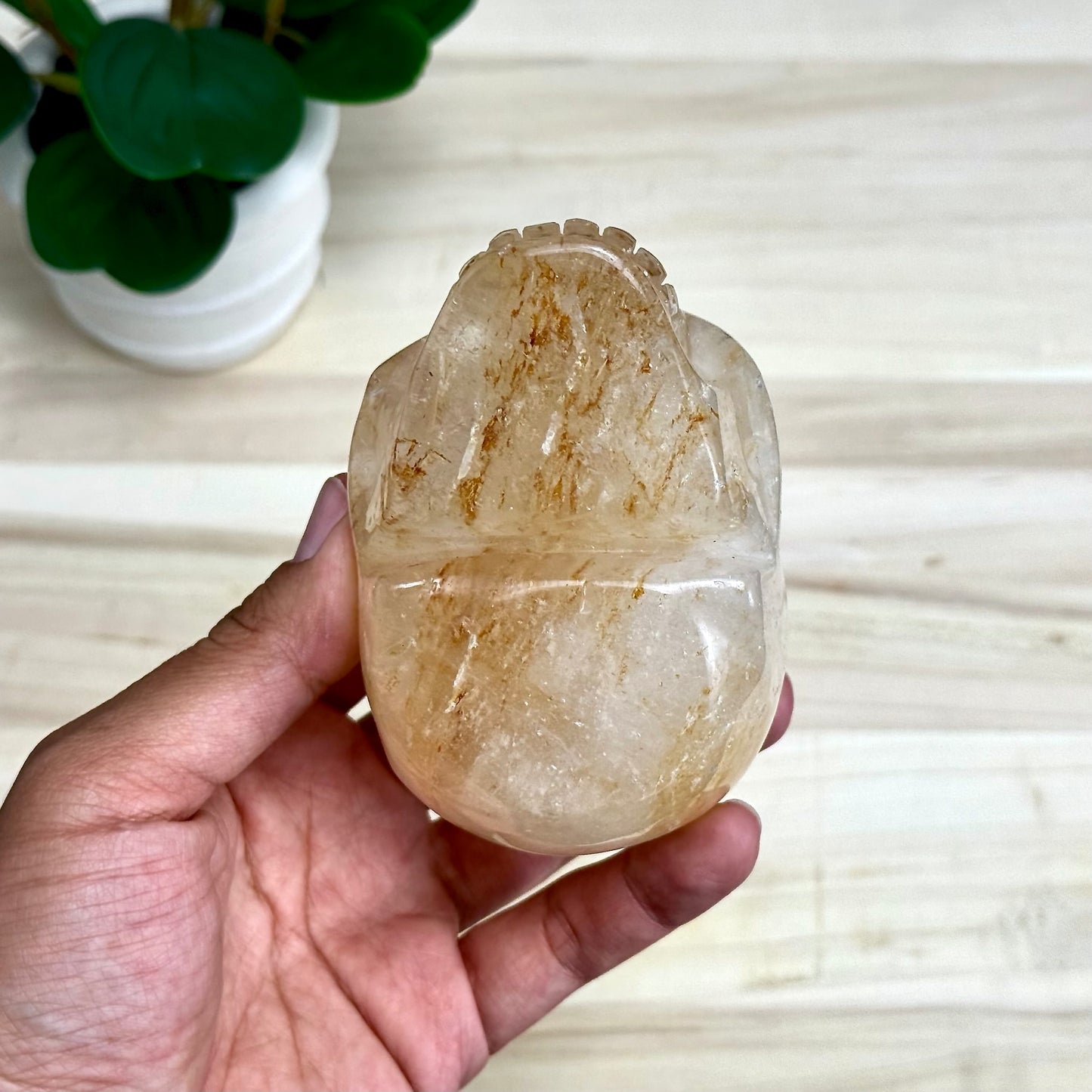 Golden Healer Skull Carving, 1 lb. 7.9 oz.