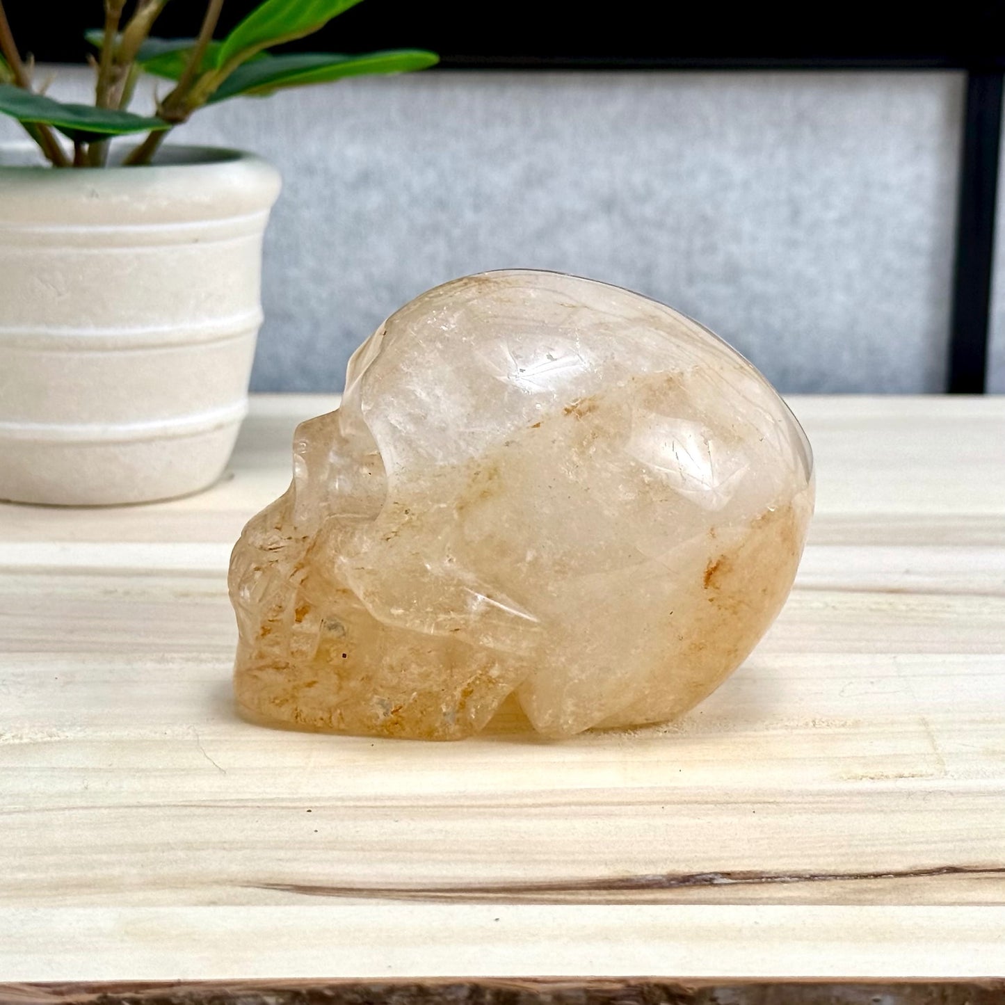 Golden Healer Skull Carving, 1 lb. 7.9 oz.