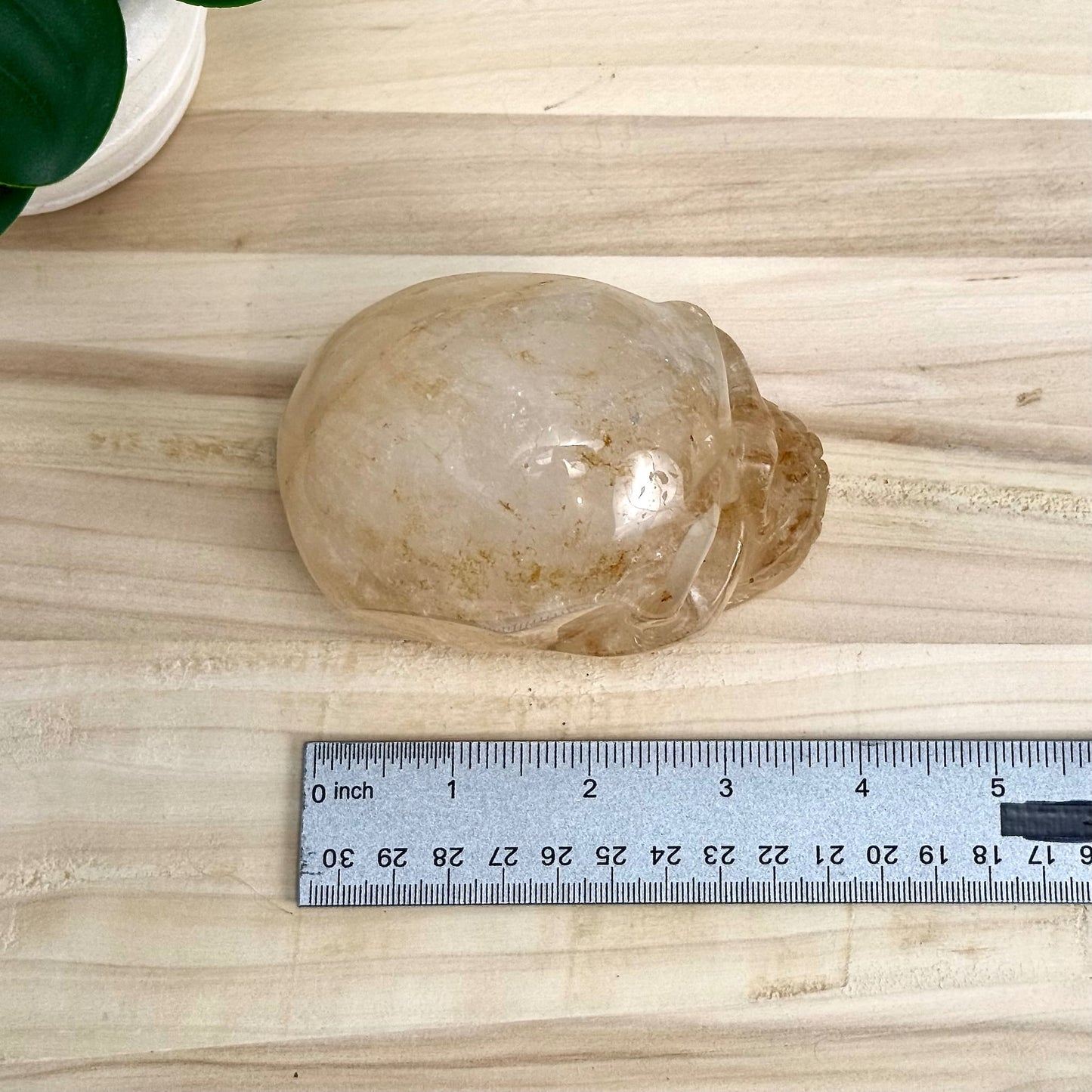 Golden Healer Skull Carving, 1 lb. 7.9 oz.
