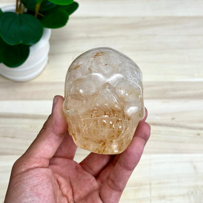 Golden Healer Skull Carving, 1 lb. 7.9 oz.