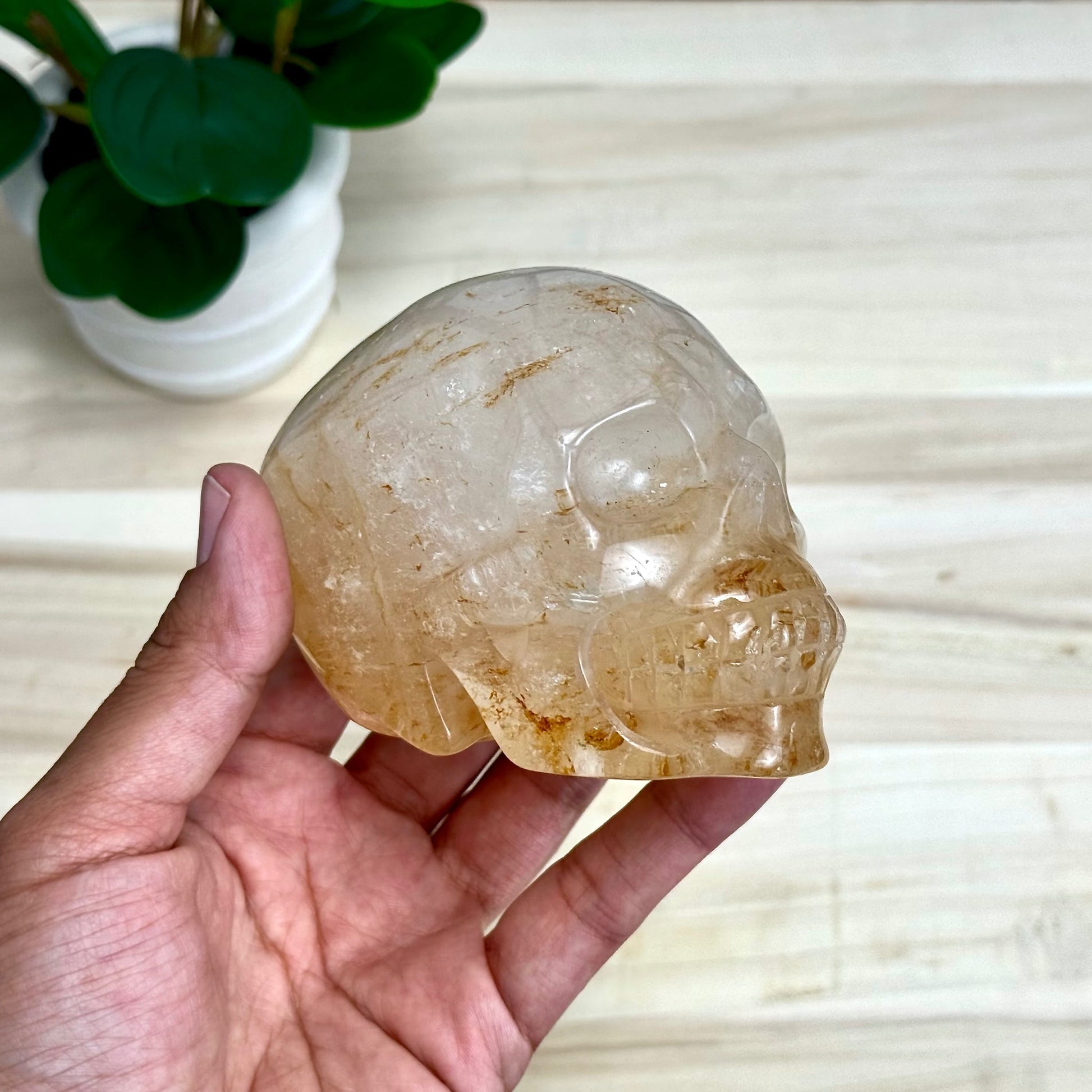 Golden Healer Skull Carving, 1 lb. 7.9 oz.