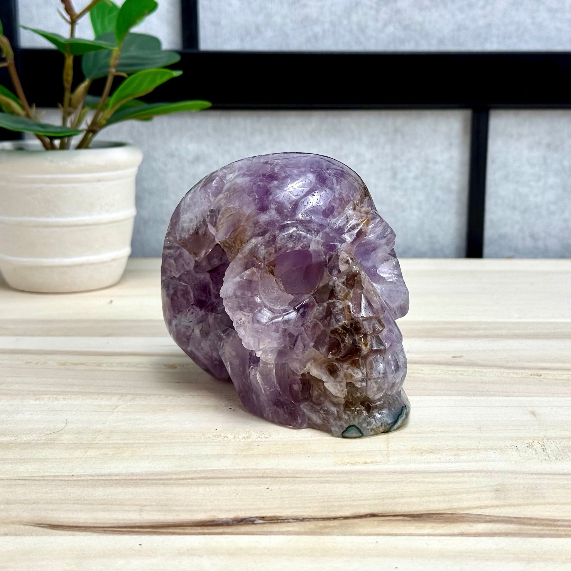 Large Drusy Amethyst Skull Carving, 2 lb. 6.1 oz. - Itsy's Crystal Cove LLC