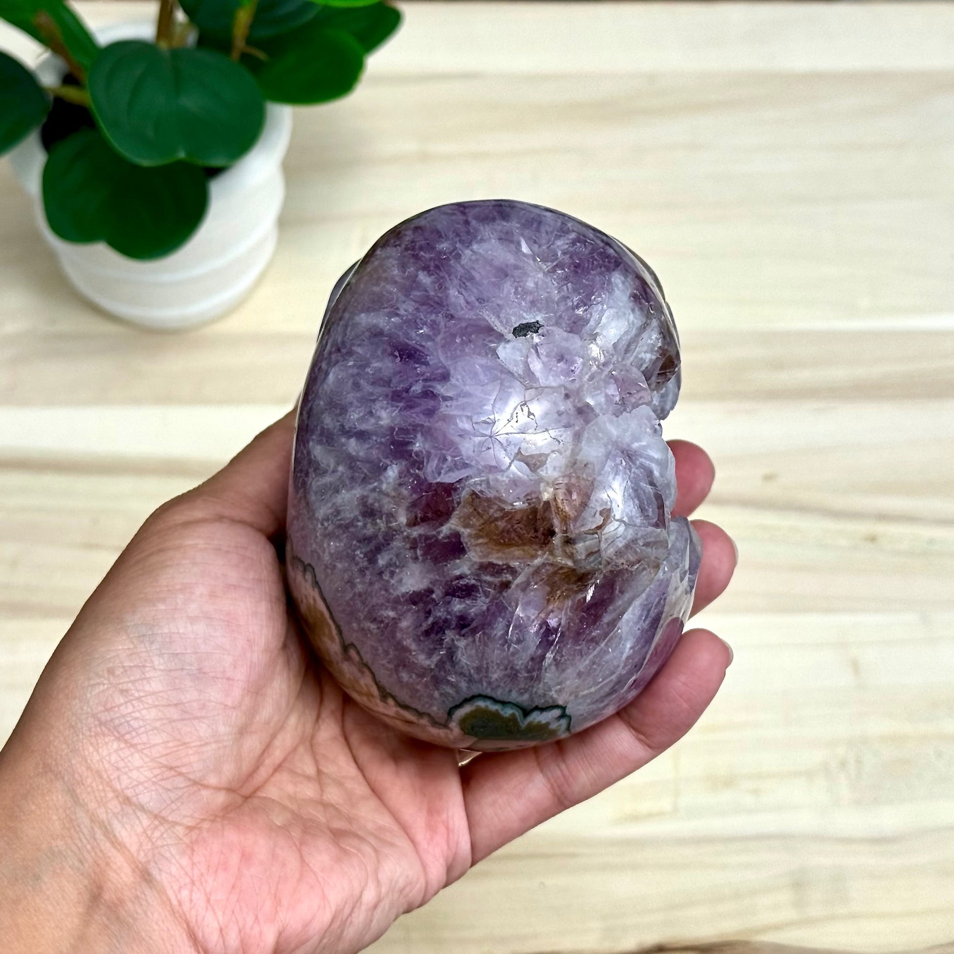 Large Drusy Amethyst Skull Carving, 2 lb. 6.1 oz. - Itsy's Crystal Cove LLC