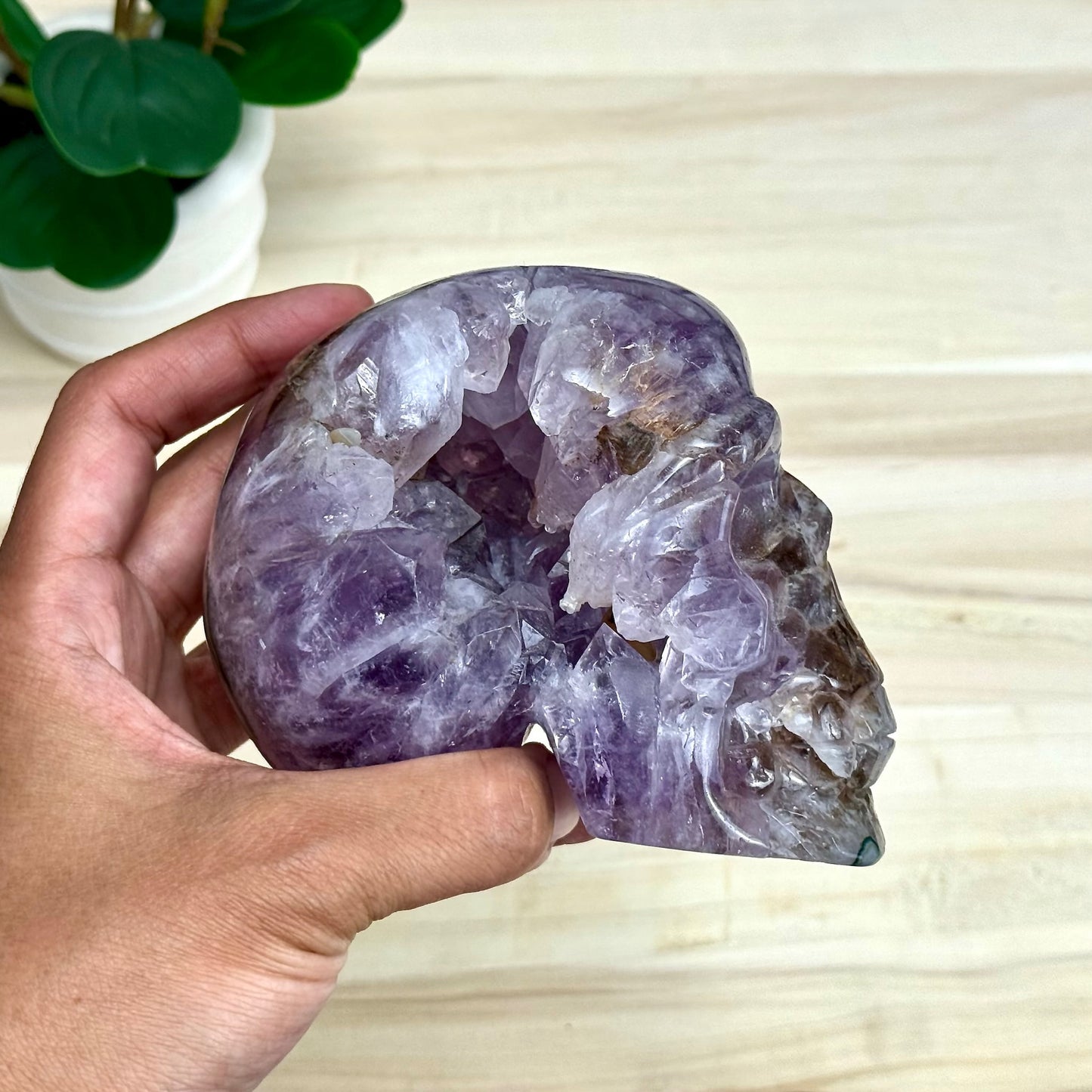 Large Drusy Amethyst Skull Carving, 2 lb. 6.1 oz. - Itsy's Crystal Cove LLC