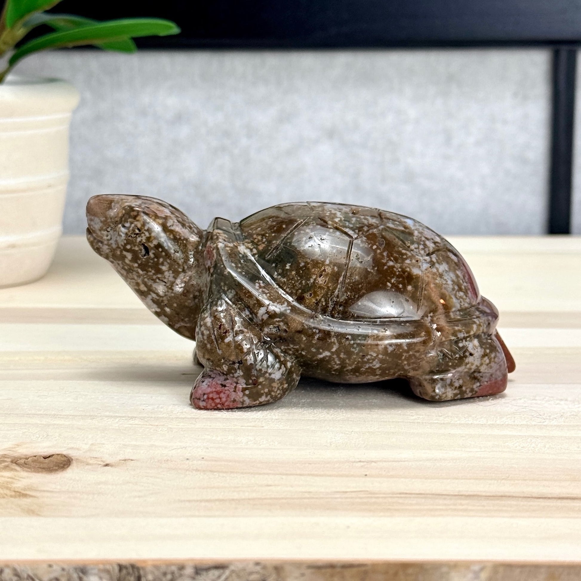 Sea Jasper Turtle Carving, Itsy's Crystal Cove LLC