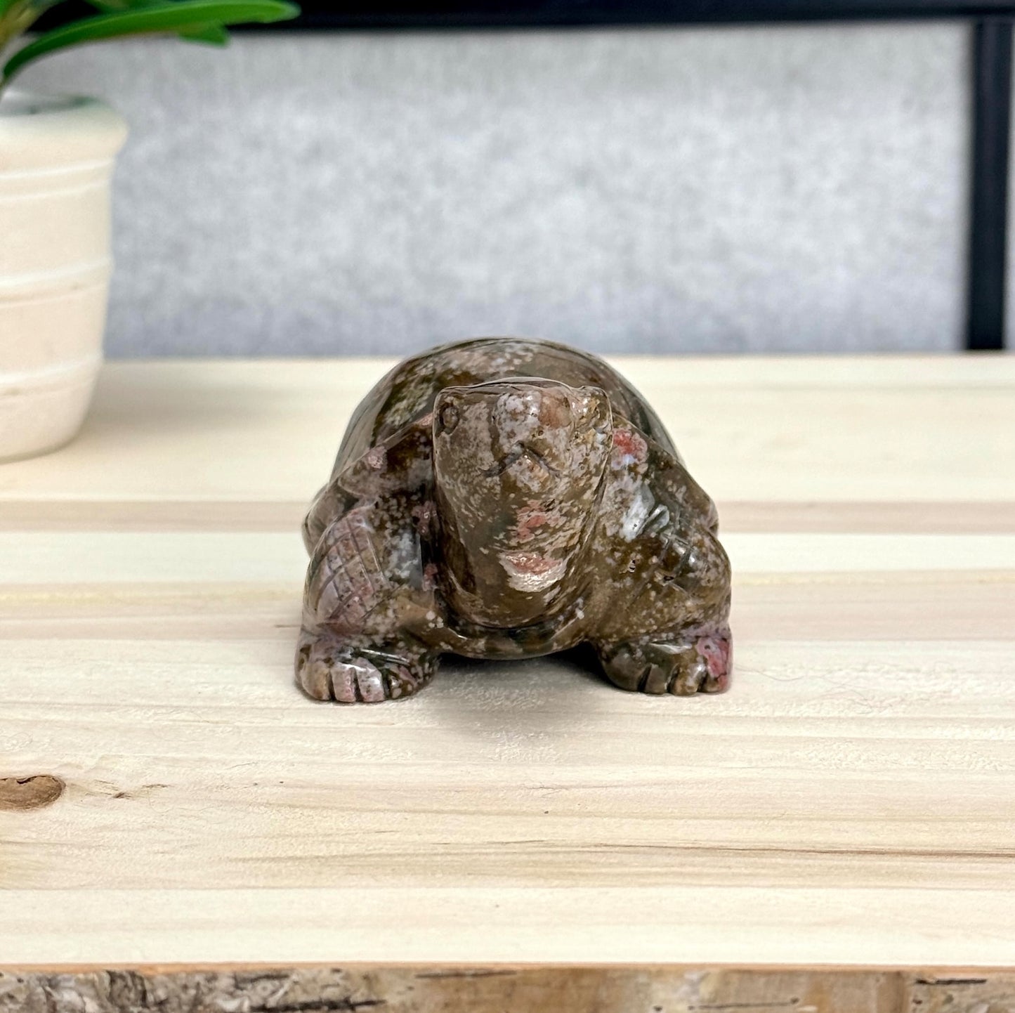 Sea Jasper Turtle Carving, Itsy's Crystal Cove LLC