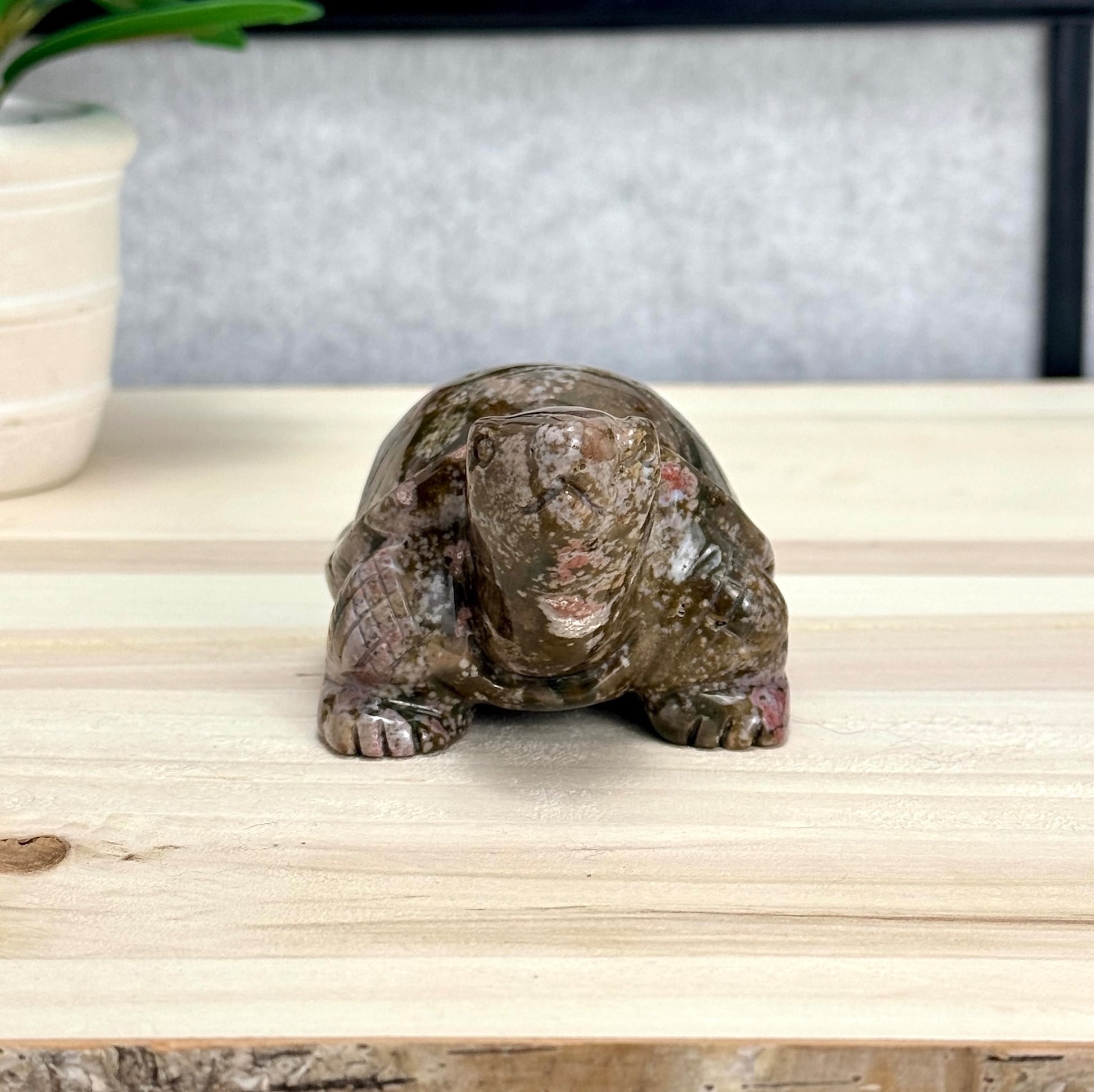 Sea Jasper Turtle Carving, Itsy's Crystal Cove LLC