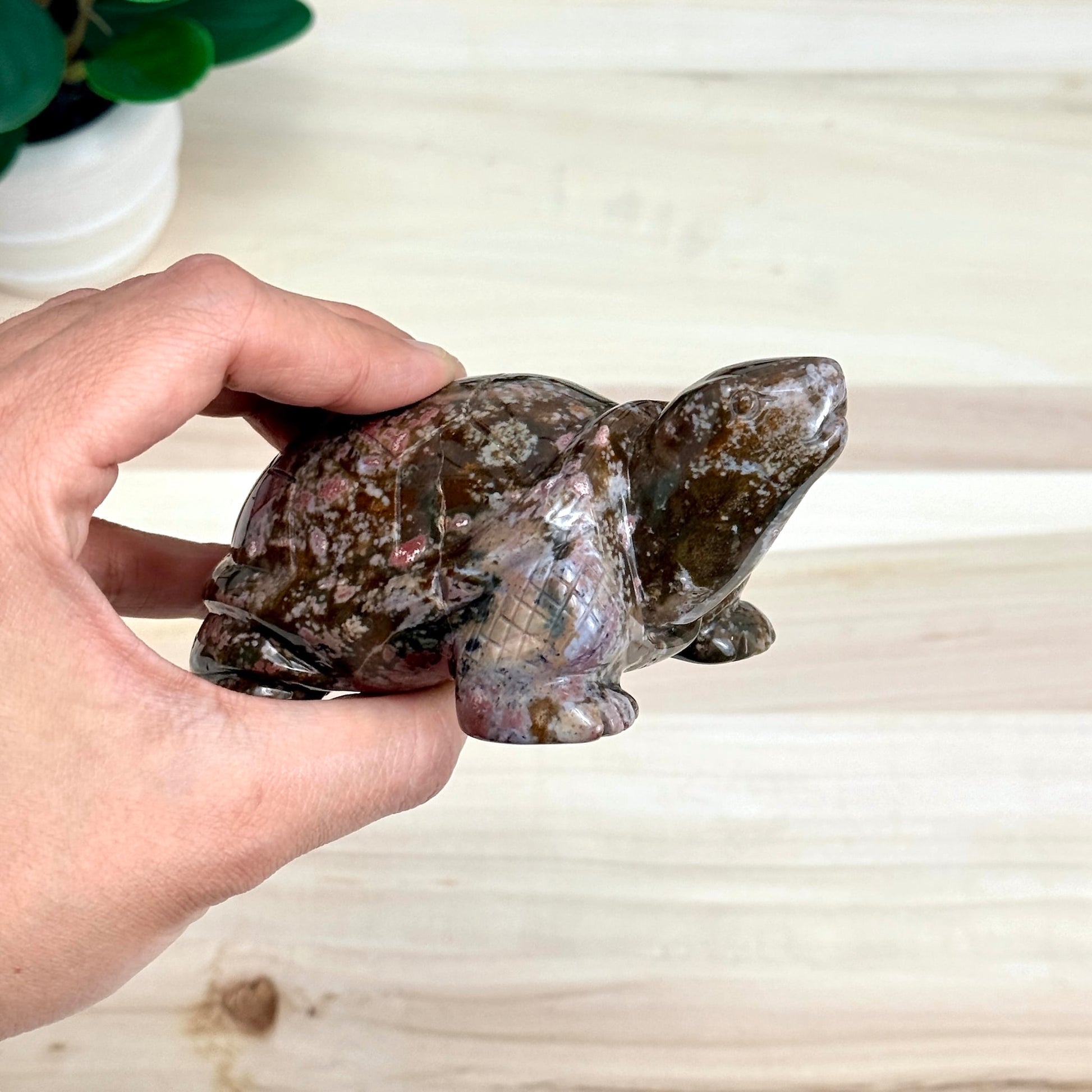 Sea Jasper Turtle Carving, Itsy's Crystal Cove LLC