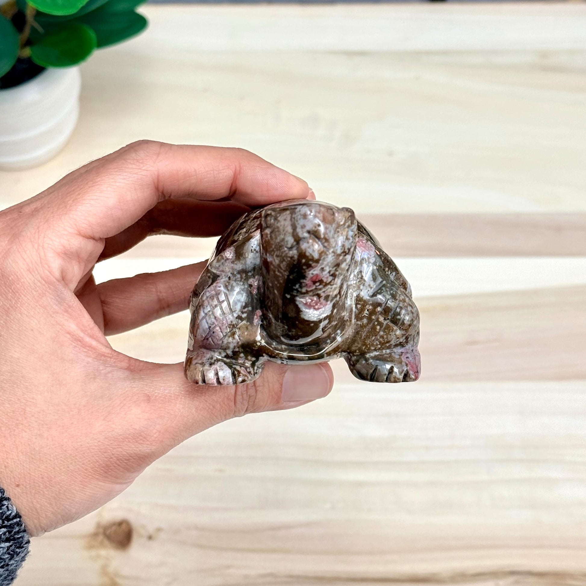 Sea Jasper Turtle Carving, Itsy's Crystal Cove LLC