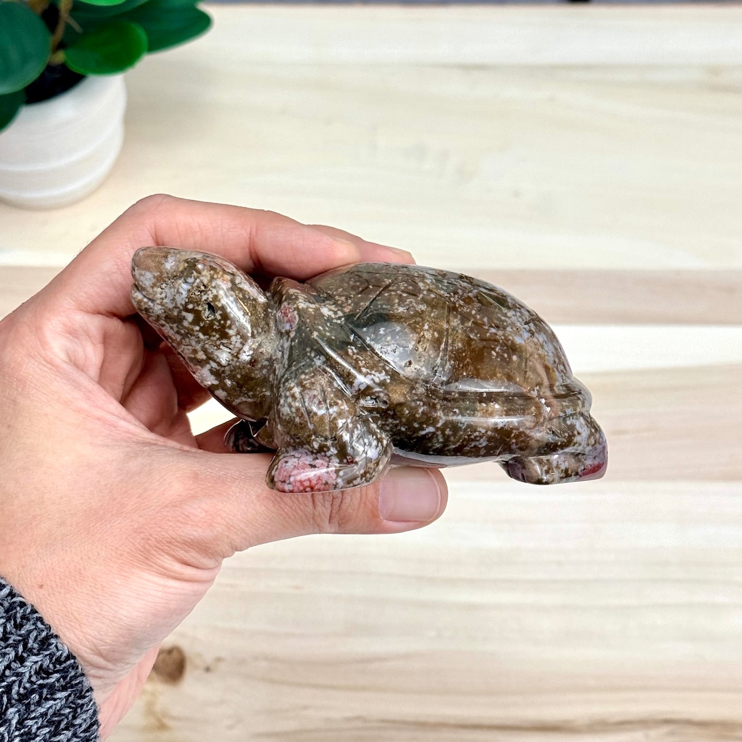 Sea Jasper Turtle Carving, Itsy's Crystal Cove LLC