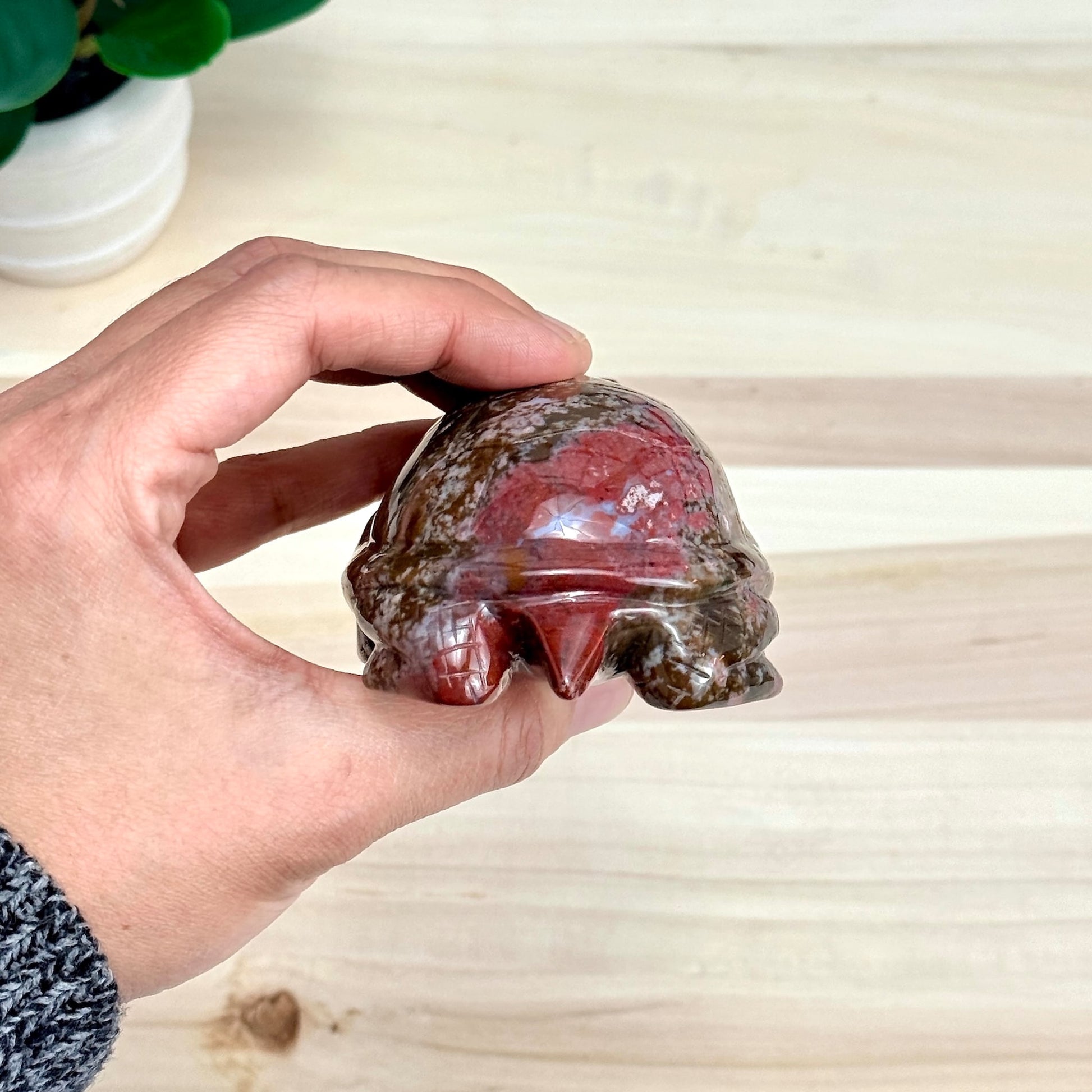 Sea Jasper Turtle Carving, Itsy's Crystal Cove LLC