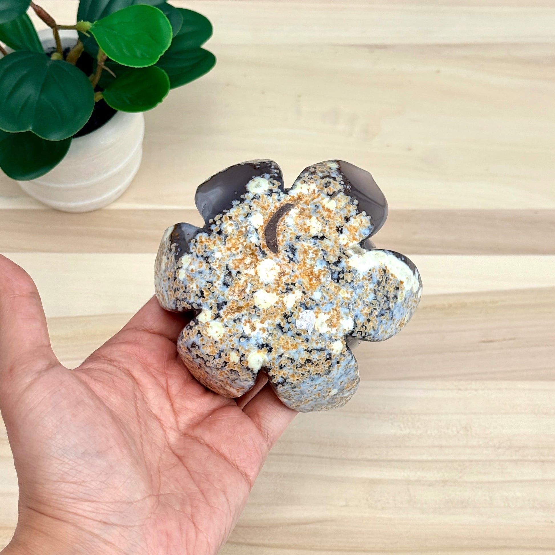 Agate Lotus Carving - Itsy's Crystal Cove LLC