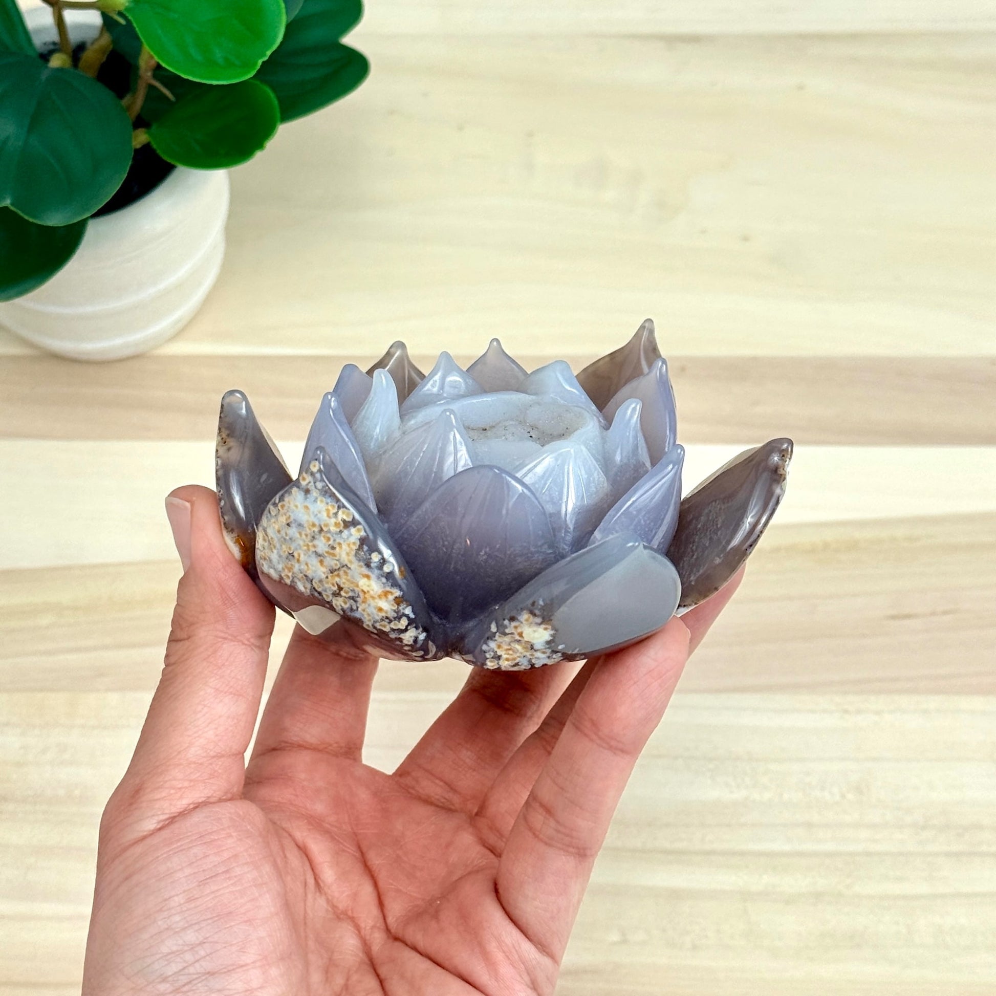Agate Lotus Carving - Itsy's Crystal Cove LLC
